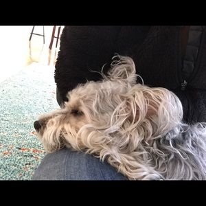 Meet your Posher, Lucimar